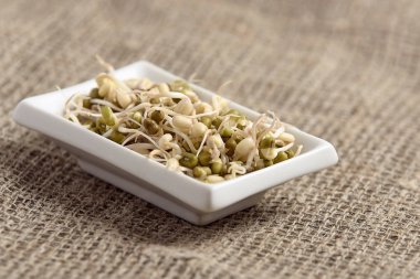 Filiz fasulye. Nötr arka plan. Beyaz tabak. Sağlıklı yemek.