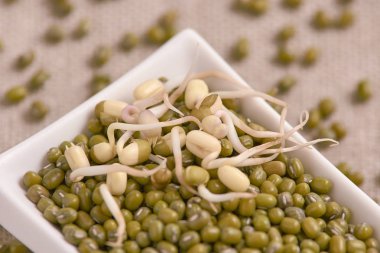 Yeşil fasulye. Taze lahanası. Beyaz tabak. Sağlıklı gıda.