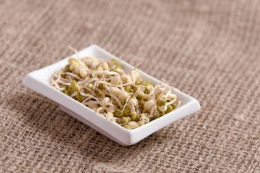 Filiz fasulye. Nötr arka plan. Sağlıklı yemekler pişirmek. Beyaz tabak.