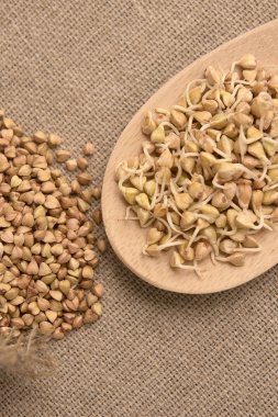 Buğday tahıl. Fasulye filizi. Doğal arka plan. Tahta kaşık.