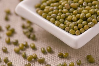 Yeşil fasulye. Beyaz Kupası. Nötr arka plan. Sağlıklı beslenme.