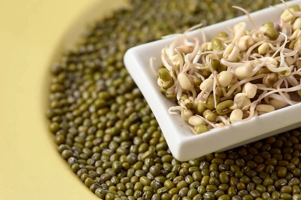 Yeşil fasulye. Taze lahanası. Sağlıklı gıda. Beyaz Kupası.