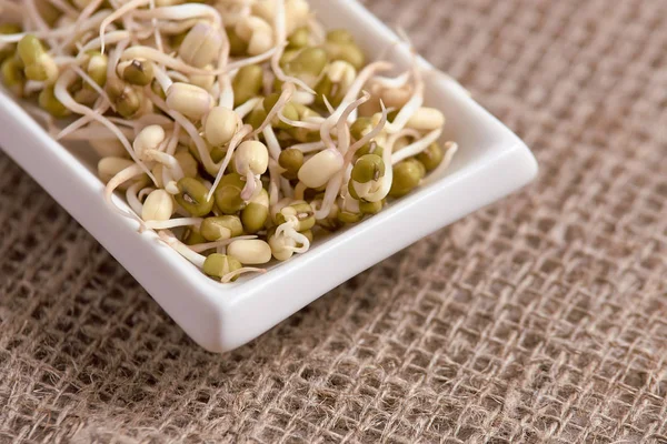 Filiz fasulye. Sağlıklı yemekler pişirmek. Nötr arka plan. Beyaz tabak.