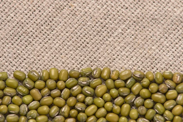 Birçok yeşil fasulye. Nötr arka plan. Sağlıklı yemek.