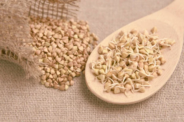 Tahta kaşık. Buğday filizi. Kabuğu çıkarılmış tane. Kahverengi zemin.