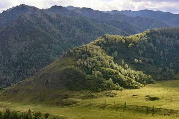 Zelené Stromy Horská Krajina Krásná Příroda Bílá Oblaka — Stock fotografie