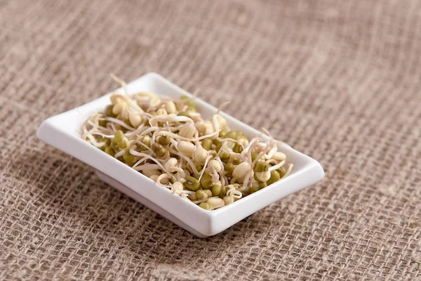 Filiz fasulye. Nötr arka plan. Sağlıklı yemekler pişirmek. Beyaz tabak.