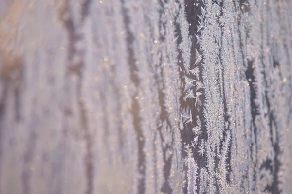 Beyaz kar taneleri. Kış desen. Gri renkli. Böke.