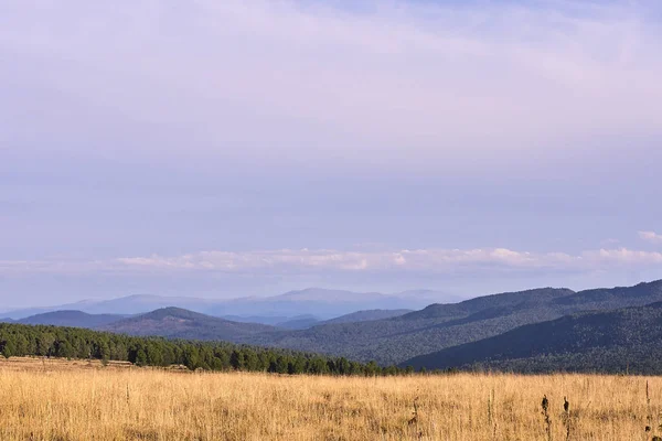 Синє Небо Зелений Ліс Високі Гори Поле — стокове фото