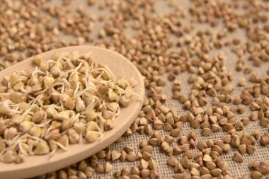 Tahta kaşık. Mısır gevreği filizlenir. Kahverengi zemin.