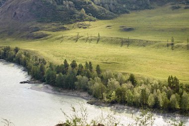 Yeşil ağaçlar. Dağ manzarası. Güzel doğa. Nehir.