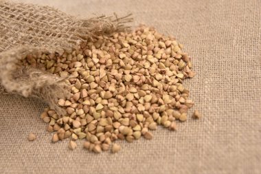 Healthy food. Scattered buckwheat grains. Brown background/