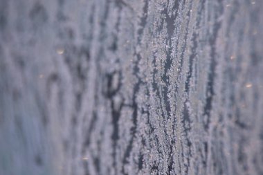 Kış desen. Beyaz kar taneleri. Gri renkli.