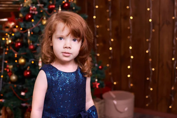 Красивая Маленькая Девочка Синее Платье Интерьер — стоковое фото