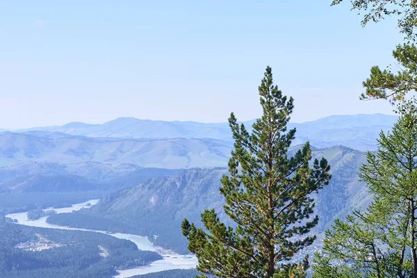 Grüner Baum Blauer Himmel Hochgebirge Schöne Aussicht — Stockfoto