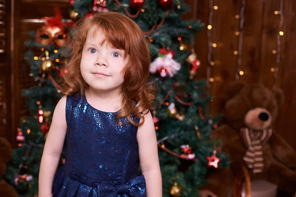 Красивая Маленькая Девочка Рождественский Интерьер Синее Платье — стоковое фото
