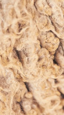 Üzgün kulunda damızlık koyun. Namlu paylaşımı. Et ve kürk çiftliği üretimi. Hayvan yünü. Doku deseni kapat