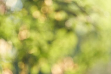 Renkli bir arka plan. İş bulanık duvar kağıdı.