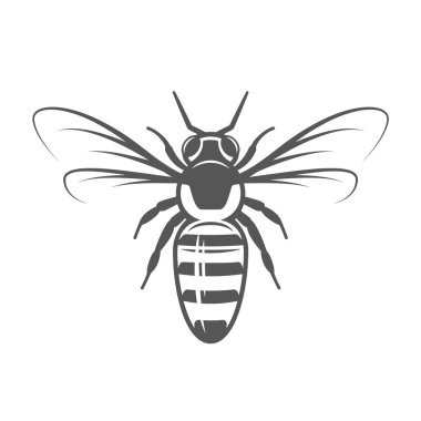 Arı beyaz arkaplanda izole edildi