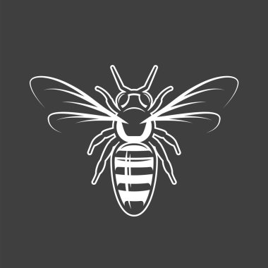 Siyah arka planda izole arı