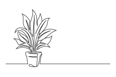 Tencereye sürekli bir çiçek çizimi. Beyaz arka planda izole edilmiş güzel bir çiçek. Vektör illüstrasyonu