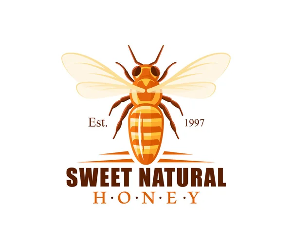 Biene Draufsicht Isoliert Auf Weißem Hintergrund Honigetikett Logo Emblemkonzept Vektorillustration — Stockvektor