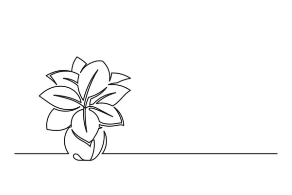 Συνεχής Γραμμή Σχέδιο Ενός Λουλουδιού Μια Κατσαρόλα Όμορφο Λουλούδι Απομονωμένο — Διανυσματικό Αρχείο