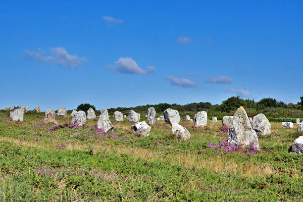 Őskori Megaliikus Menhireket Összehangolás Carnac Brittany Franciaország — Stock Fotó