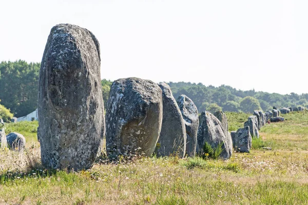 Alineación Menhires Megalíticos Prehistóricos Carnac Bretaña Francia — Foto de Stock