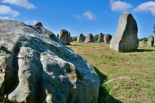 Carnac, Brittany'de tarih öncesi megalitik menhirler hizalandı. Fransa
