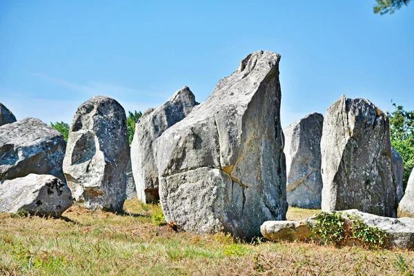 Alinhamento Menires Megalíticos Pré Históricos Carnac Bretanha França — Fotografia de Stock
