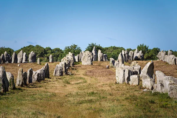 Alineación Menhires Megalíticos Prehistóricos Carnac Bretaña Francia — Foto de Stock