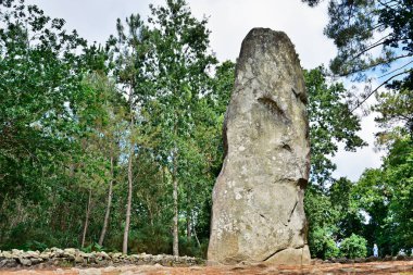 Carnac, Brittany'de tarih öncesi megalitik menhirler hizalandı. Fransa