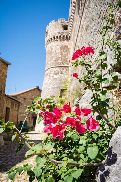 Die Steinmauern Und Der Turm Der Berühmten Caetani Burg Von — Stockfoto