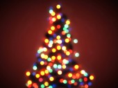 Osvětlený vánoční stromeček s rozostřeného světla