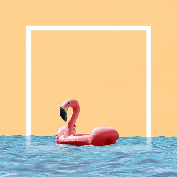 Pink Flamingo Swimming Circle Water — Stock Photo, Image