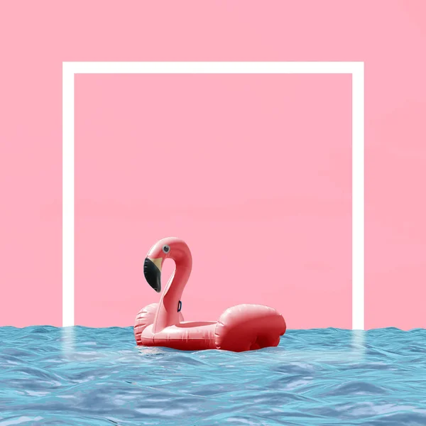 Pink Flamingo Swimming Circle Water — Stock Photo, Image