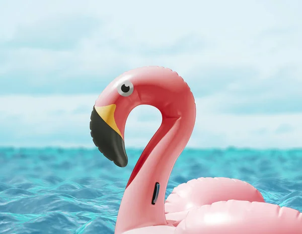 Rosa Flamingo Simning Cirkel Vatten — Stockfoto