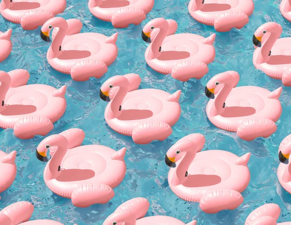 Pink Flamingo Pływanie Kręgów Wodzie — Zdjęcie stockowe