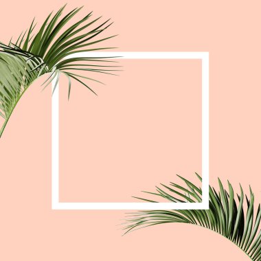 Tropikal tema arka plan çerçeve yaprakları ile