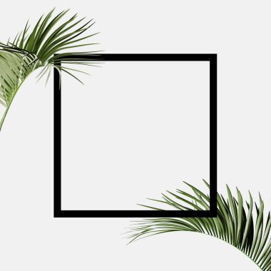 Tropikal tema arka plan çerçeve yaprakları ile