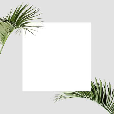 Tropikal tema arka plan çerçeve yaprakları ile