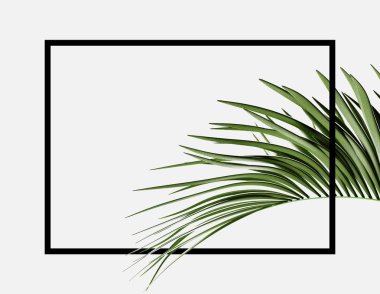 Tropikal tema arka plan çerçeve palmiye yaprağı