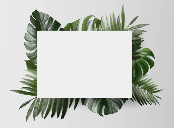 Textura Fondo Tema Tropical Con Hojas — Foto de Stock