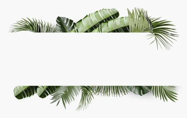 Tropický Motiv Pozadí Snímku Listy — Stock fotografie