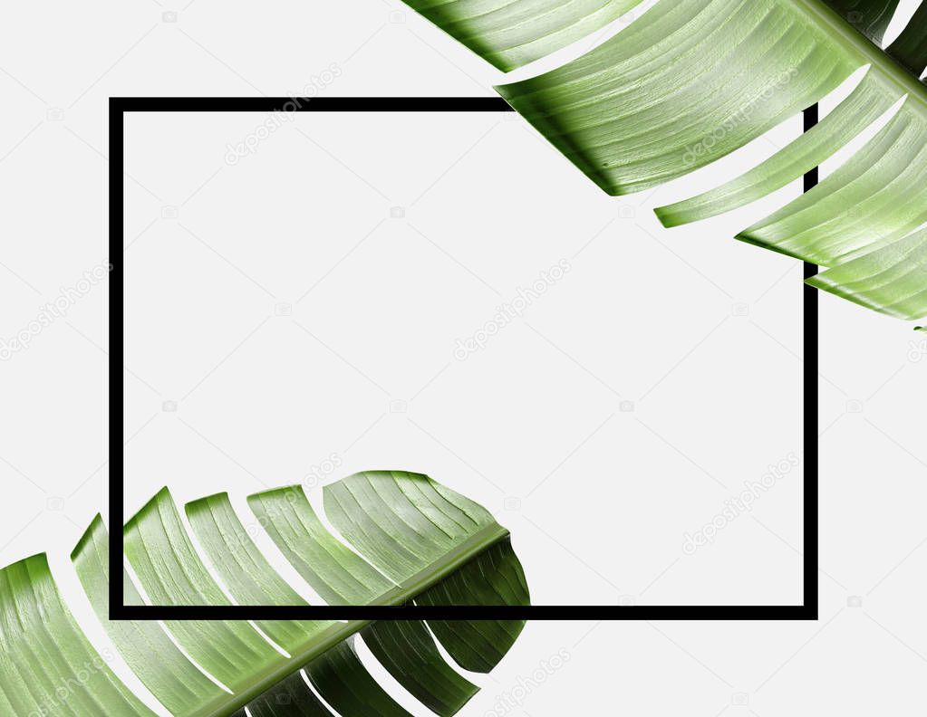 tropical theme background frame with leaves
