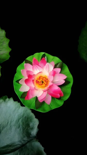 彩色织物漂浮在水面上的七彩莲花花 — 图库照片