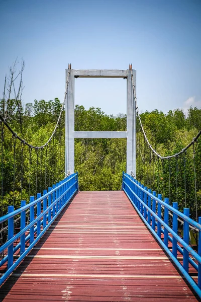 Yağmur ormanlarında nehrin üzerindeki mavi köprü 