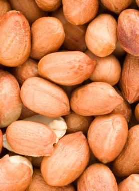 Dökülen fıstık. En baştan görüntülemek.