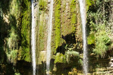 Dağlarda küçük bir şelale. 